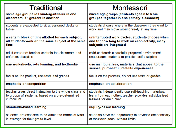 The montessori learning program essay